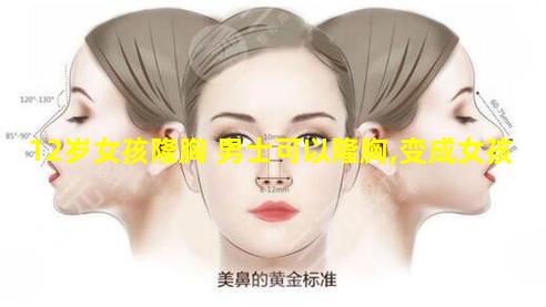 12岁女孩隆胸 男士可以隆胸,变成女孩